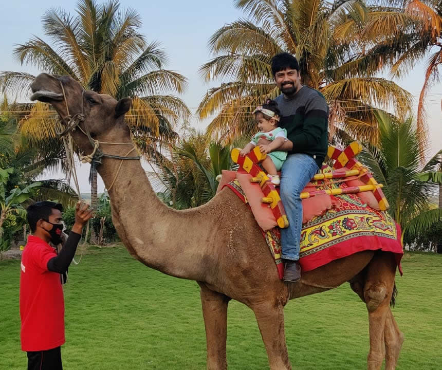 Camel-ride-pawar-agro-resort
